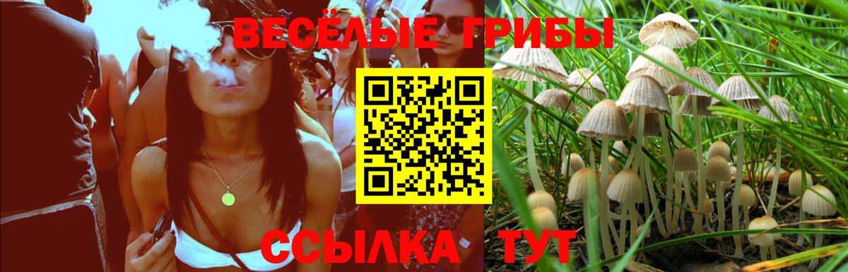 Лысьва  Псилоцибиновые грибы Magic Shrooms  Вход с VPN 